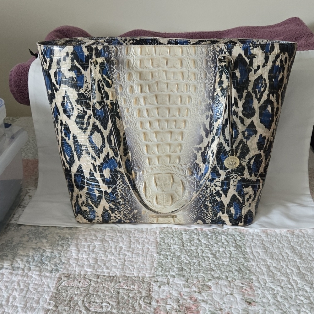 Brahmin Brooke Tote and pouch in Jaguar Ombre Melbourne Leather